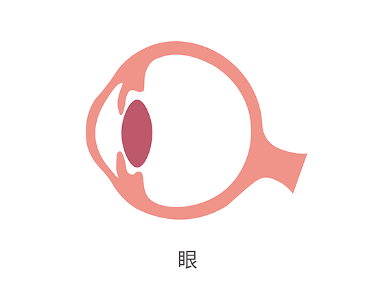 【OB视讯官网基因检测